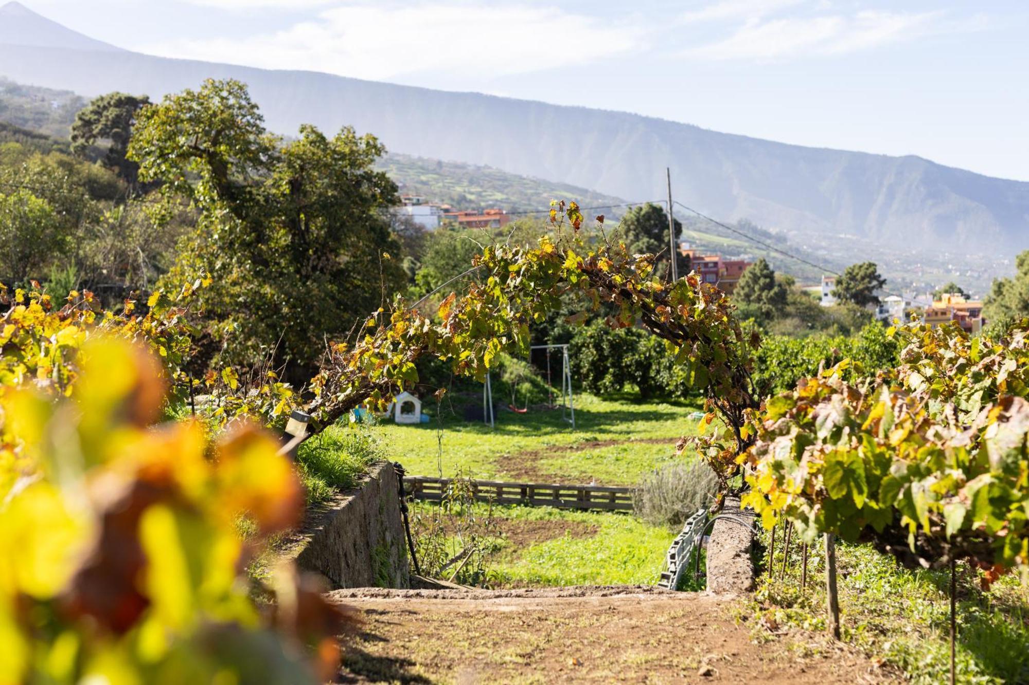 Ek Las Vistas Finca El Milagro La Orotava Exterior photo