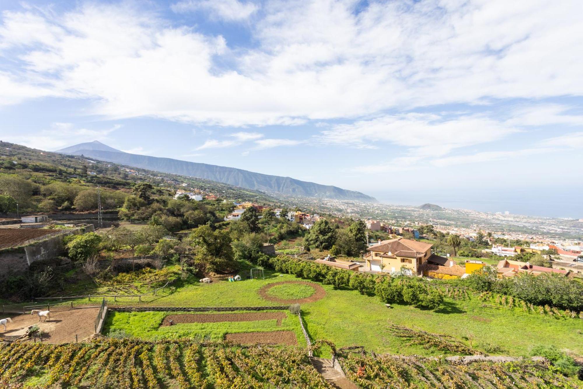 Ek Las Vistas Finca El Milagro La Orotava Exterior photo